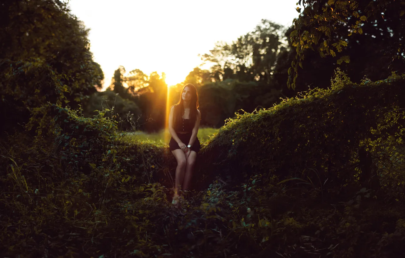 Photo wallpaper greens, summer, girl, the sun, pose, smile, sitting, looks