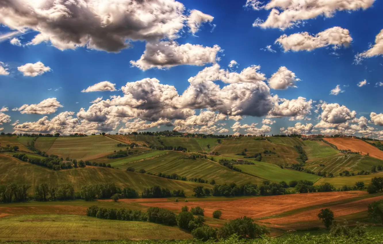 Photo wallpaper field, the sky, clouds, trees, nature