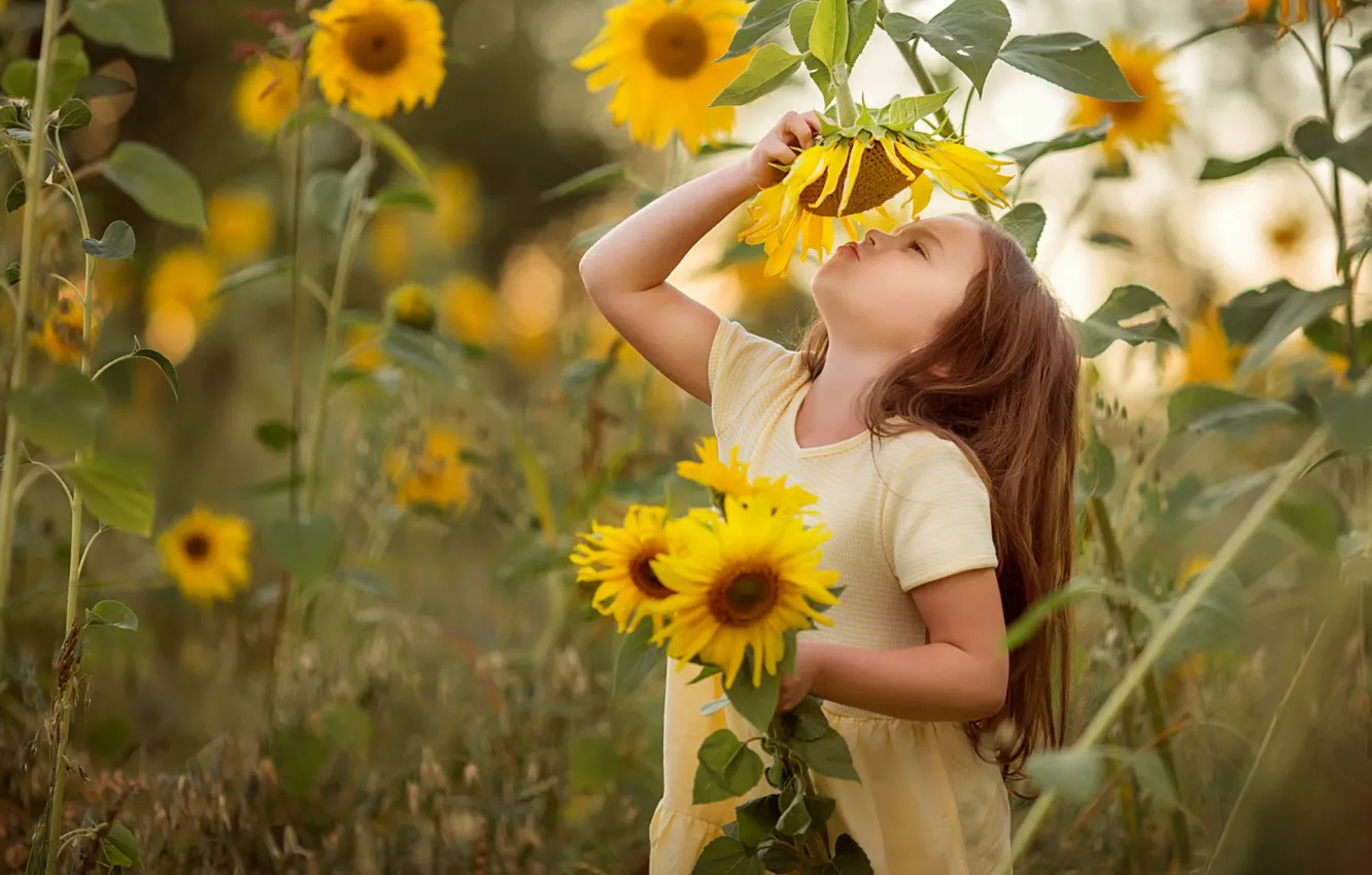 Photo wallpaper summer, girl, sunflowers