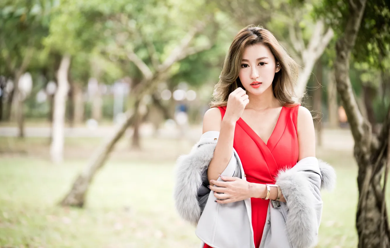 Photo wallpaper look, girl, sweetheart, hair, dress, Asian, coat