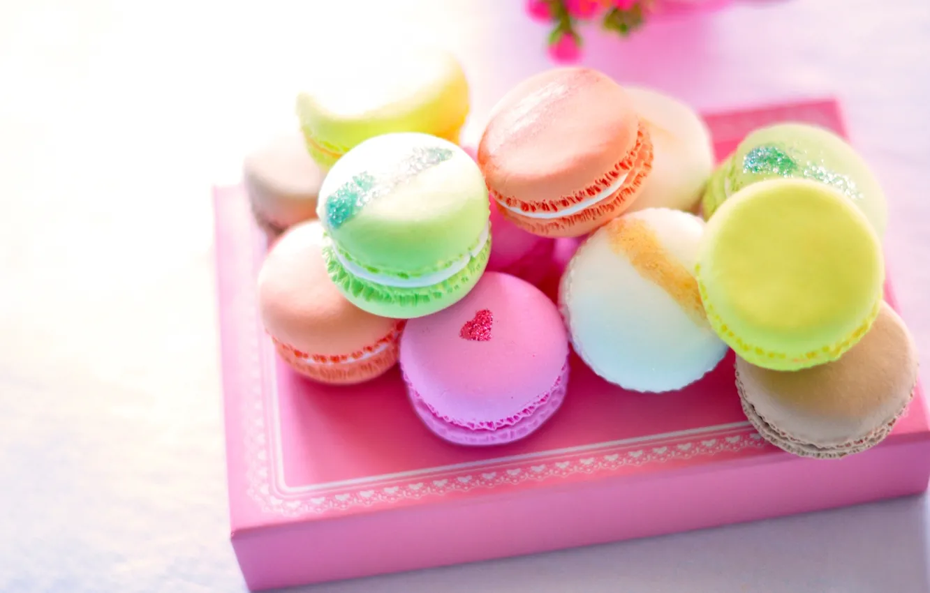 Photo wallpaper box, cookies, sweets, colorful, dessert, macaron, macaroon