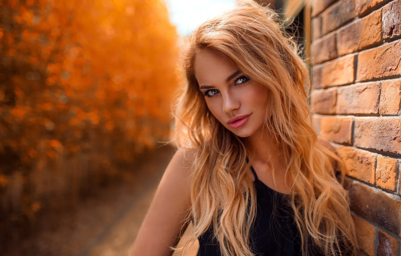 Photo wallpaper autumn, look, trees, yellow, wall, black, portrait, brick