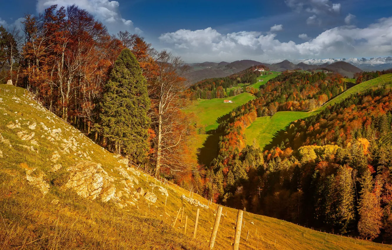 Photo wallpaper autumn, forest, landscape, mountains, nature, hills, meadow