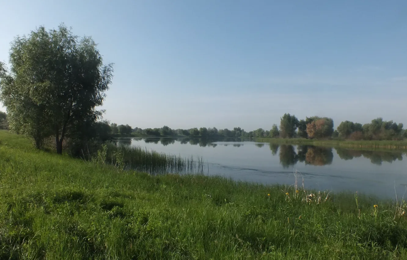 Wallpaper summer, grass, water, trees, flowers, nature, river for ...