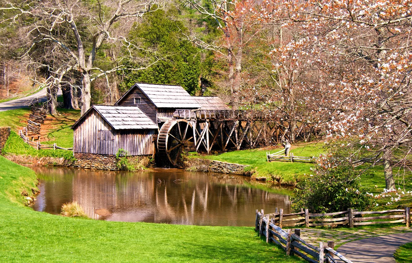 Photo wallpaper trees, pond, spring, mill