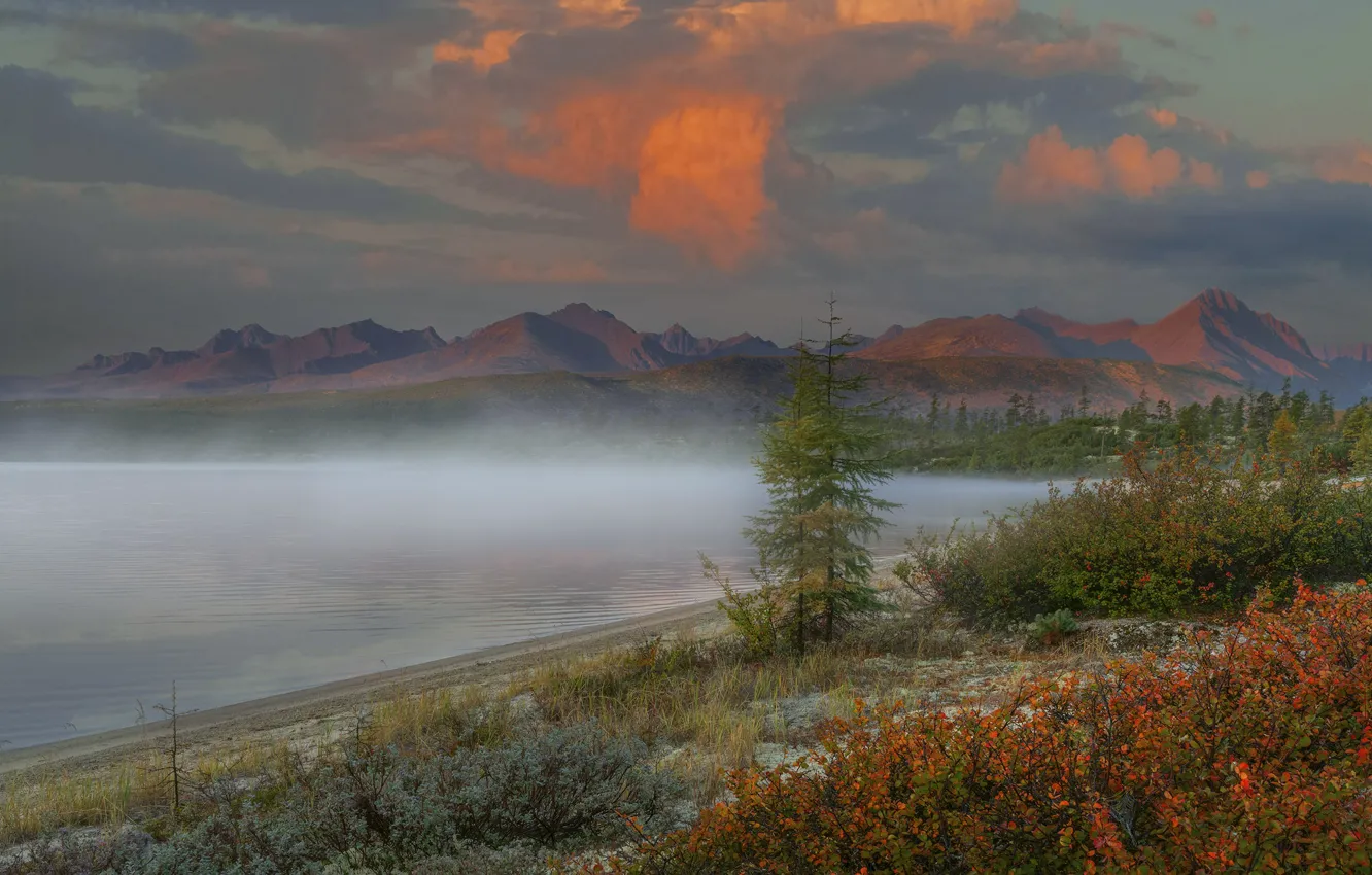 Photo wallpaper clouds, landscape, mountains, nature, fog, dawn, vegetation, morning