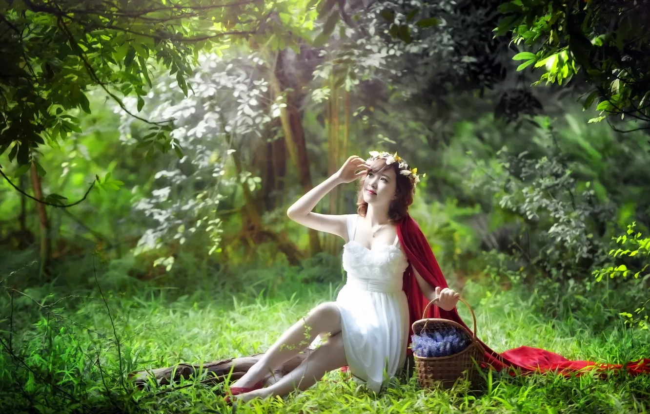 Photo wallpaper forest, girl, tale