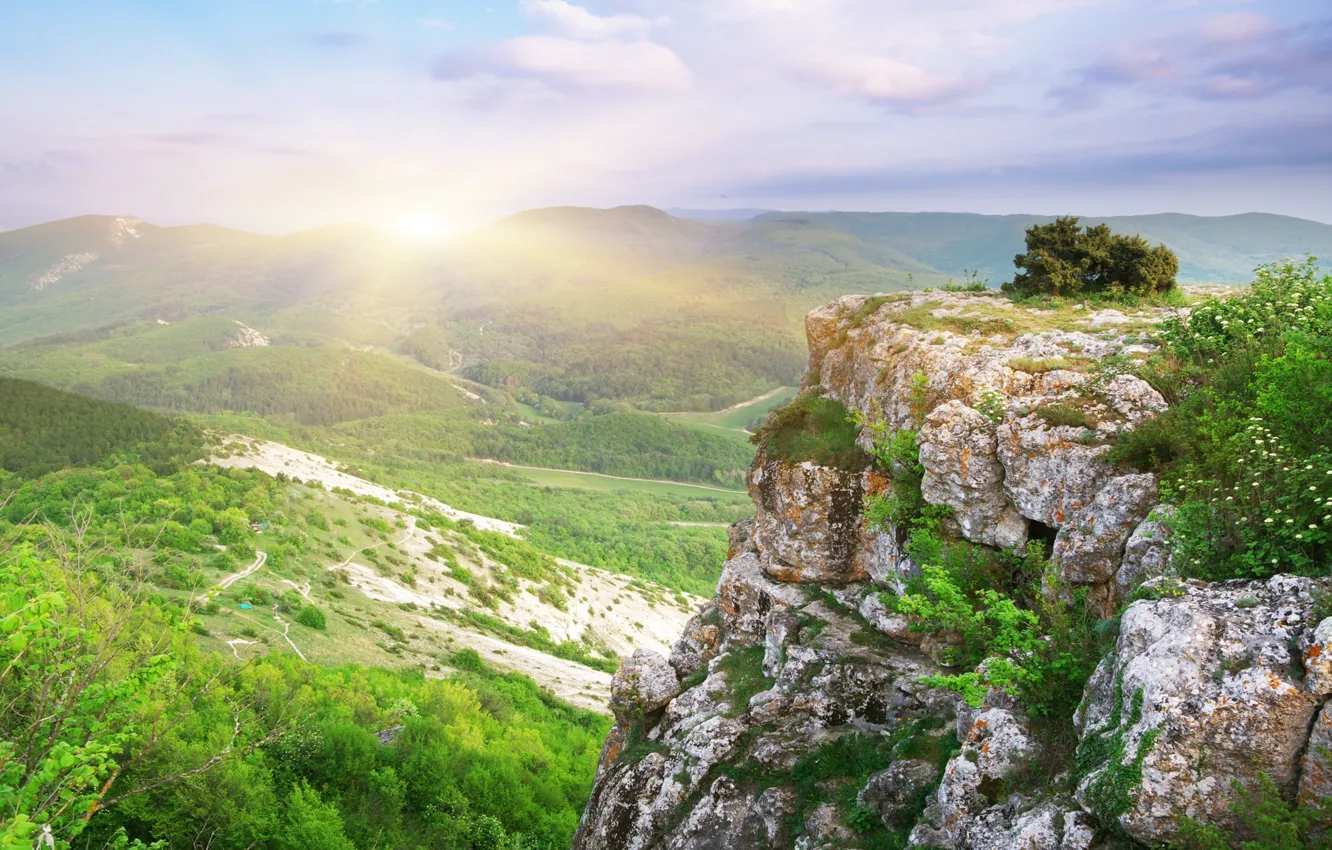 Photo wallpaper forest, the sky, clouds, trees, rocks, blue, view, height
