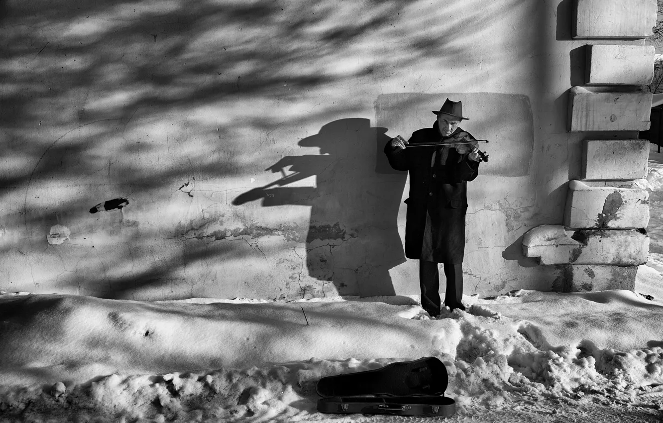 Photo wallpaper wall, shadow, violinist