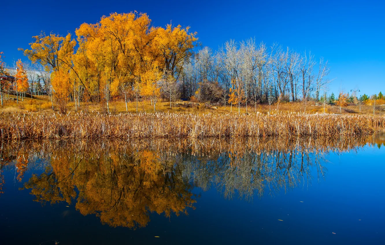 Photo wallpaper autumn, trees, reflection, river, Canada, Albert