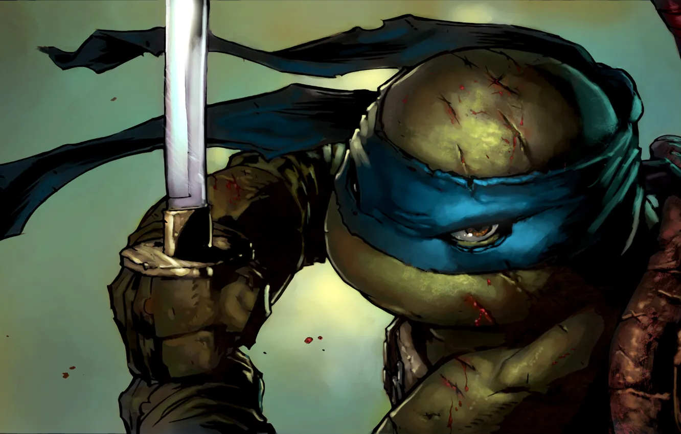 Photo wallpaper look, sword, katana, mask, ninja, bug, TMNT, Leonardo