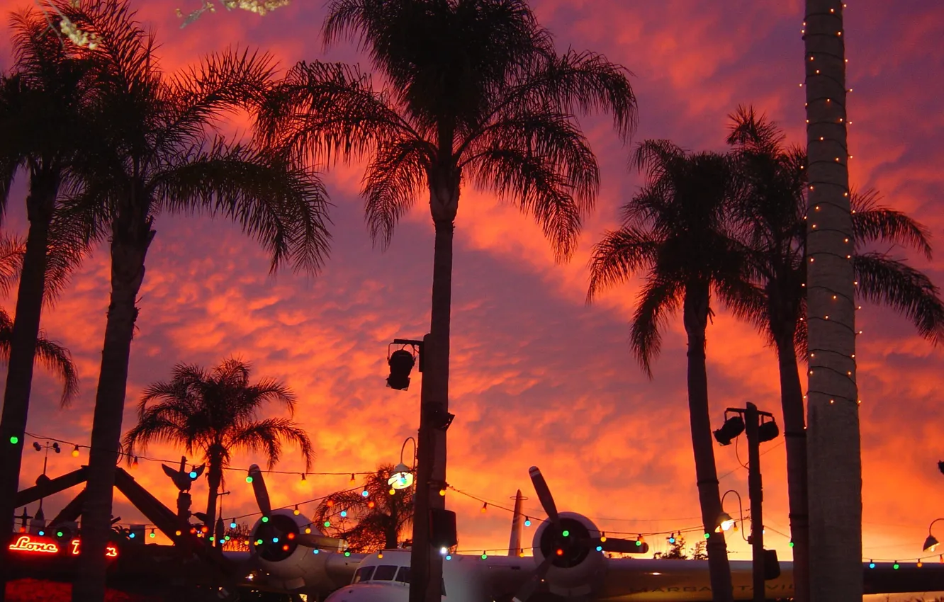Photo wallpaper the sky, sunset, palm trees, Miami, the plane, Miami, sky, sunset