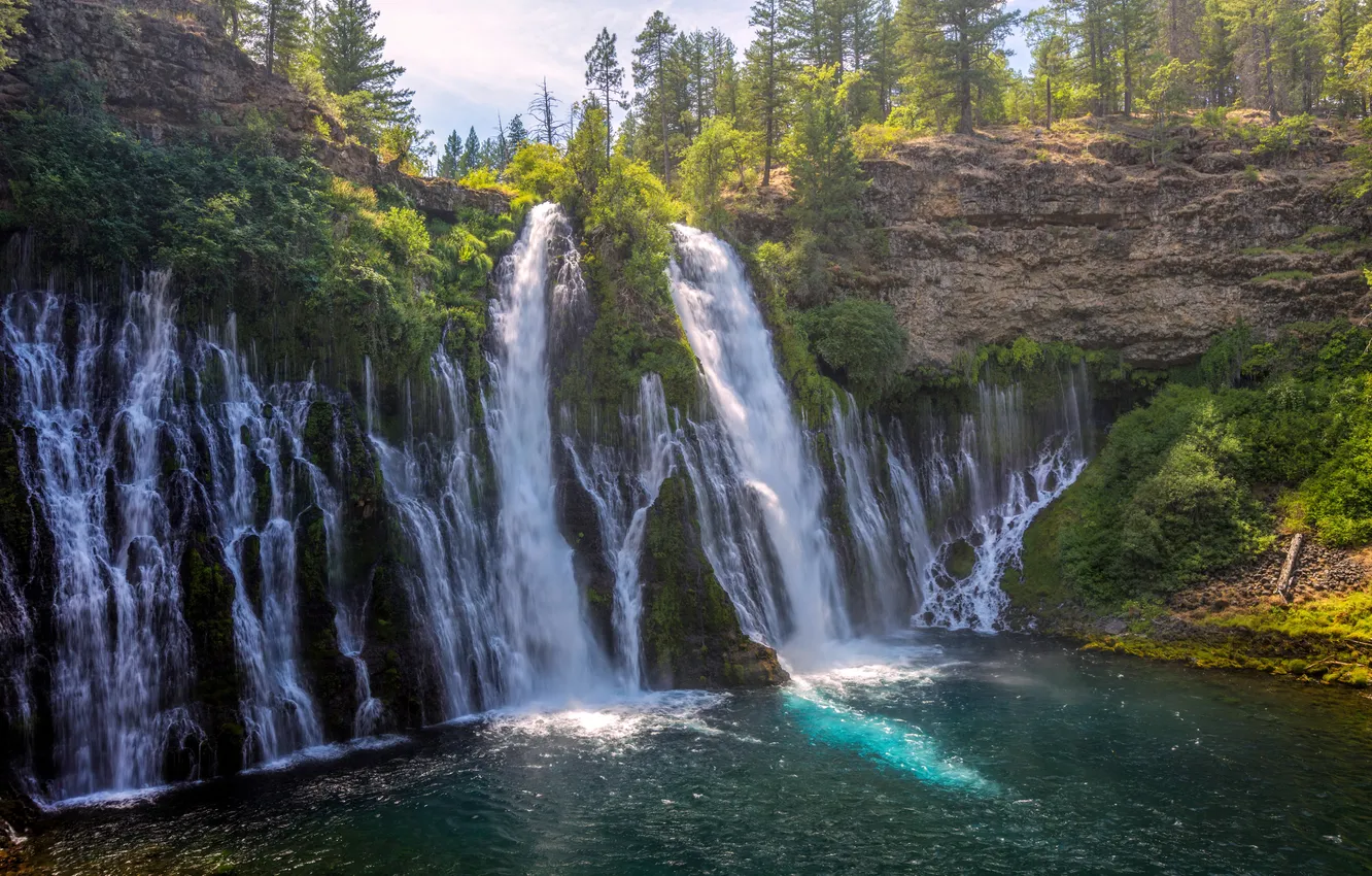 Photo wallpaper forest, light, rocks, shore, waterfall, stream, cascade, The reservoir