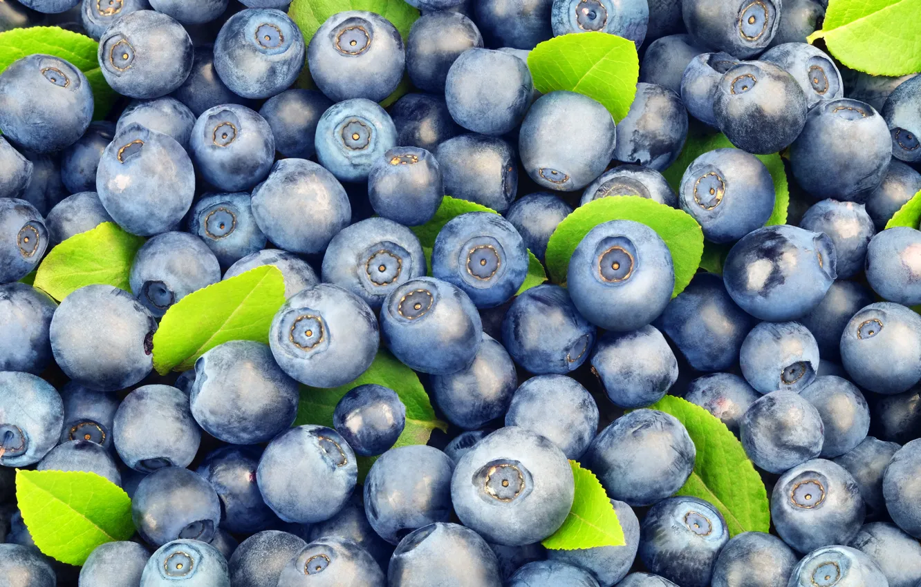 Photo wallpaper berries, food, blueberries, a lot