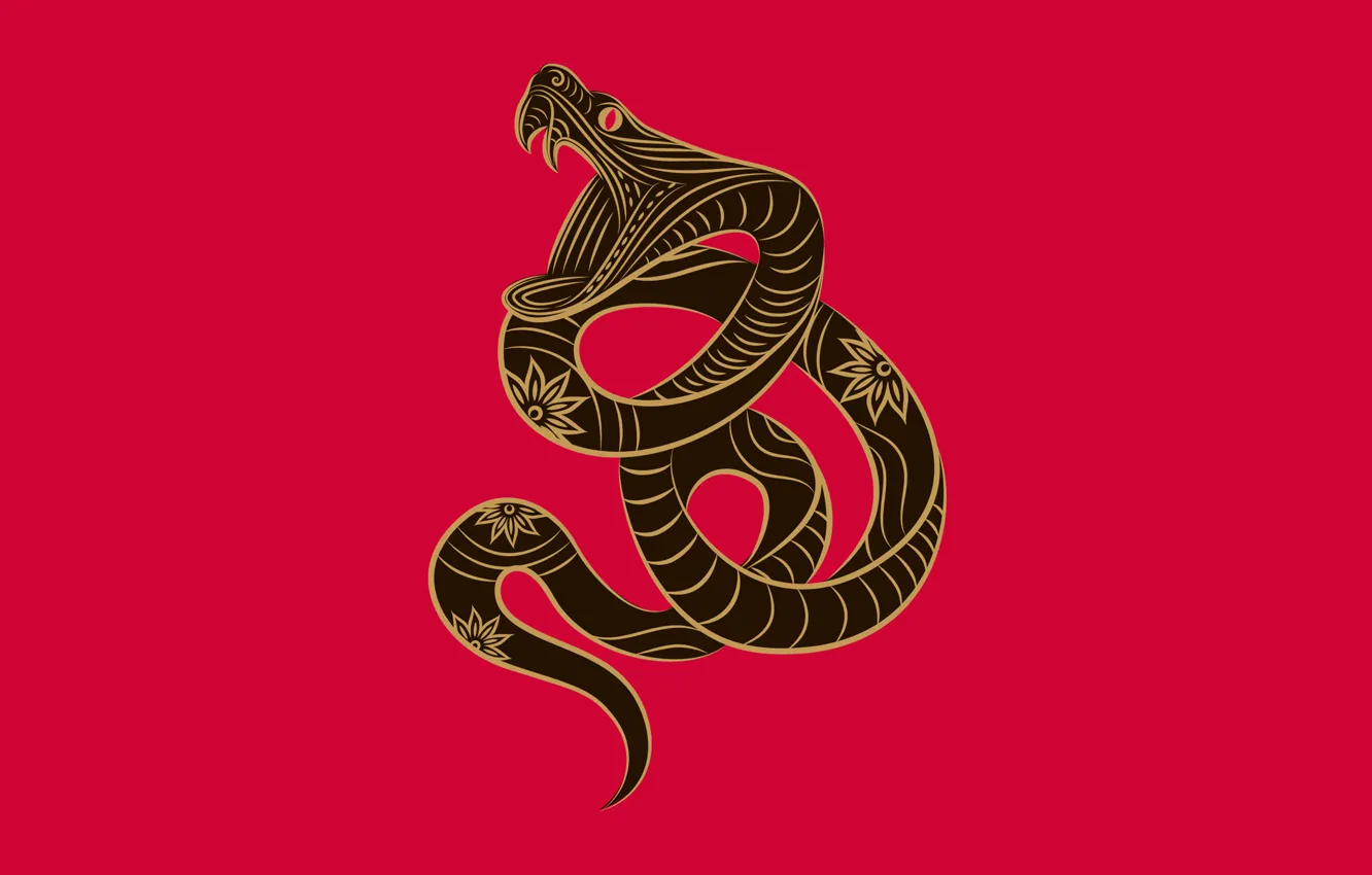 Photo wallpaper snake, zodiac, Zune