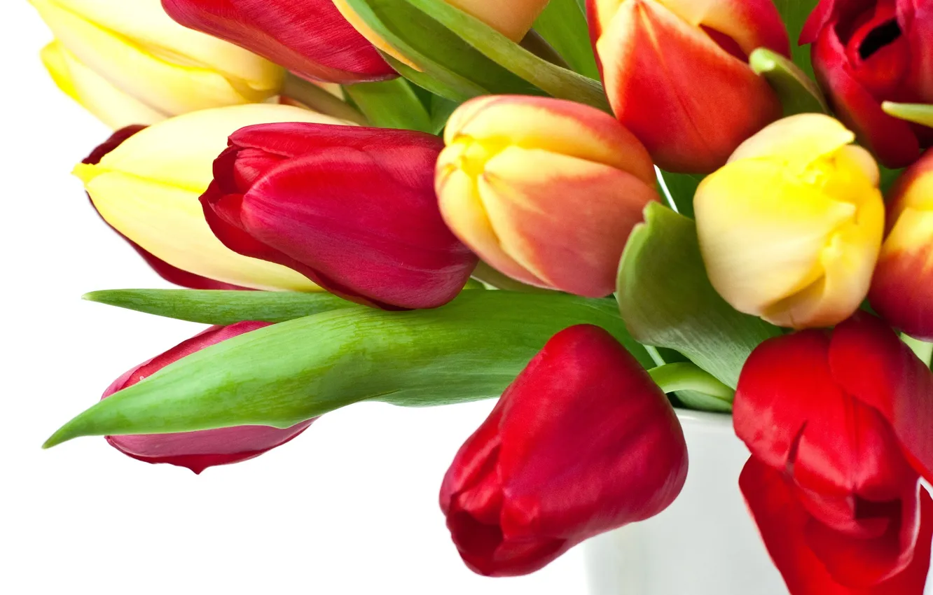 Photo wallpaper flowers, bouquet, tulips