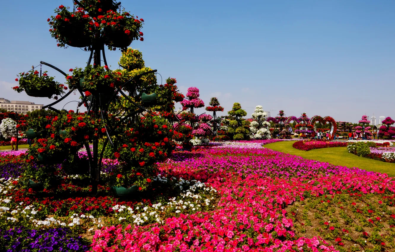 Photo wallpaper flowers, design, Park, lawn, garden, track, Dubai, colorful