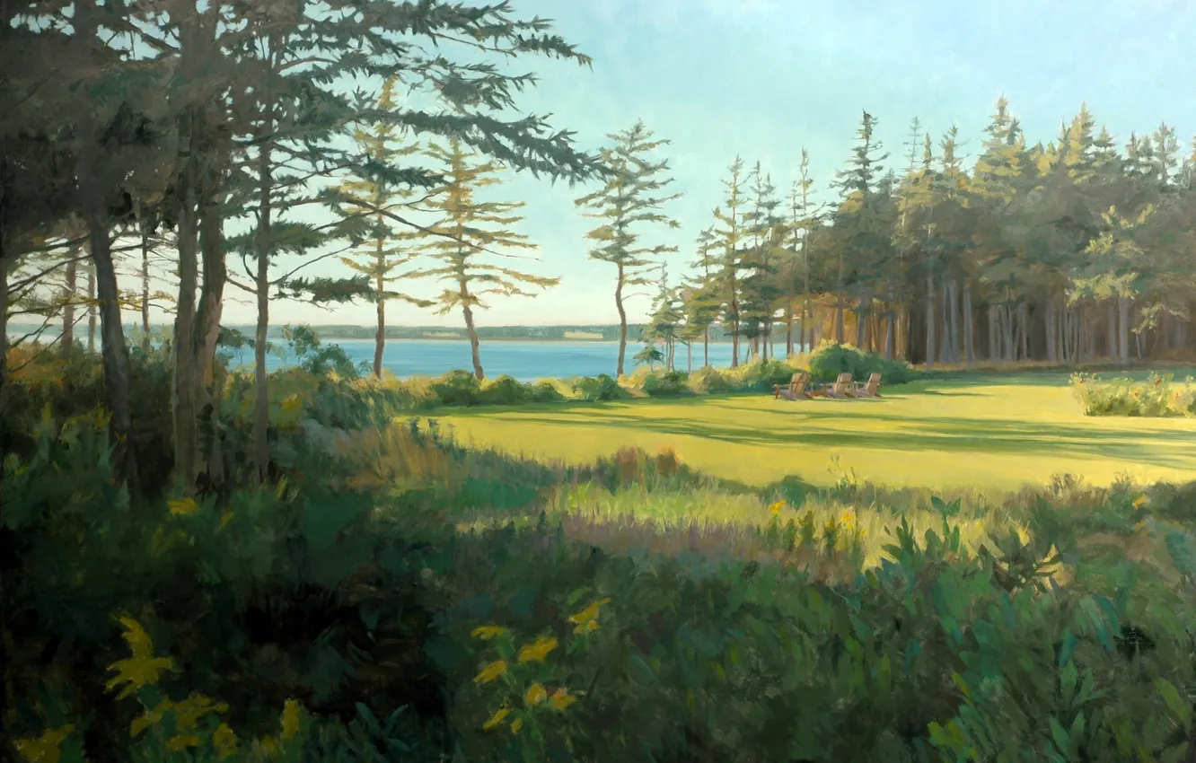 Photo wallpaper forest, summer, landscape, lake, river, glade, pine, Bor