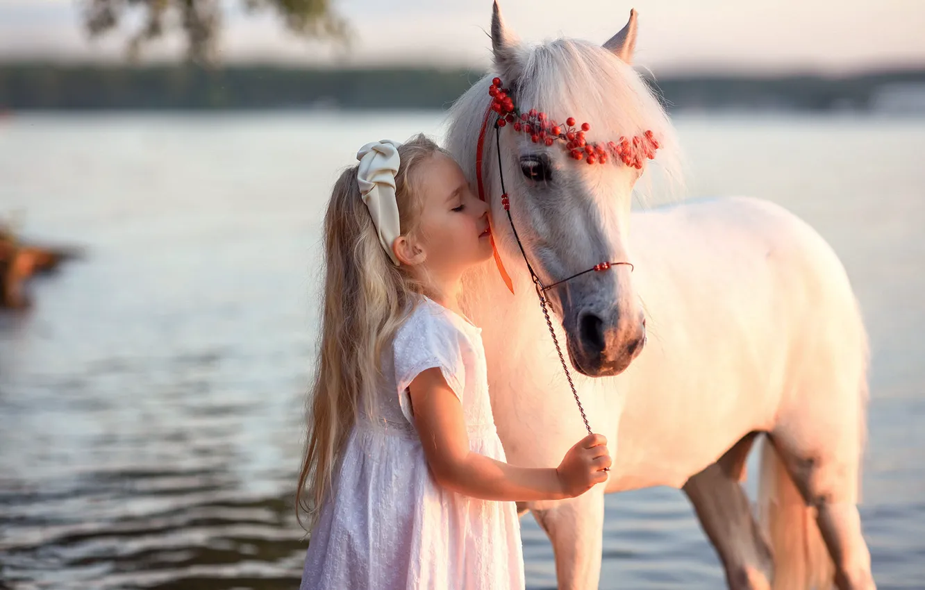 Photo wallpaper each, horse, girl, pony