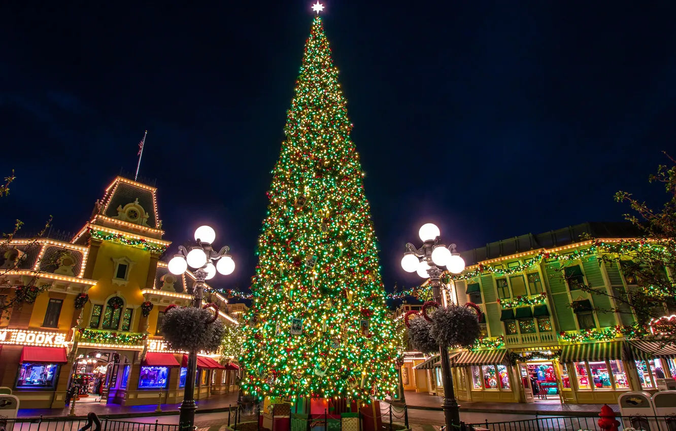 Photo wallpaper street, tree, area, lights, CA, garland, Disneyland, Anaheim