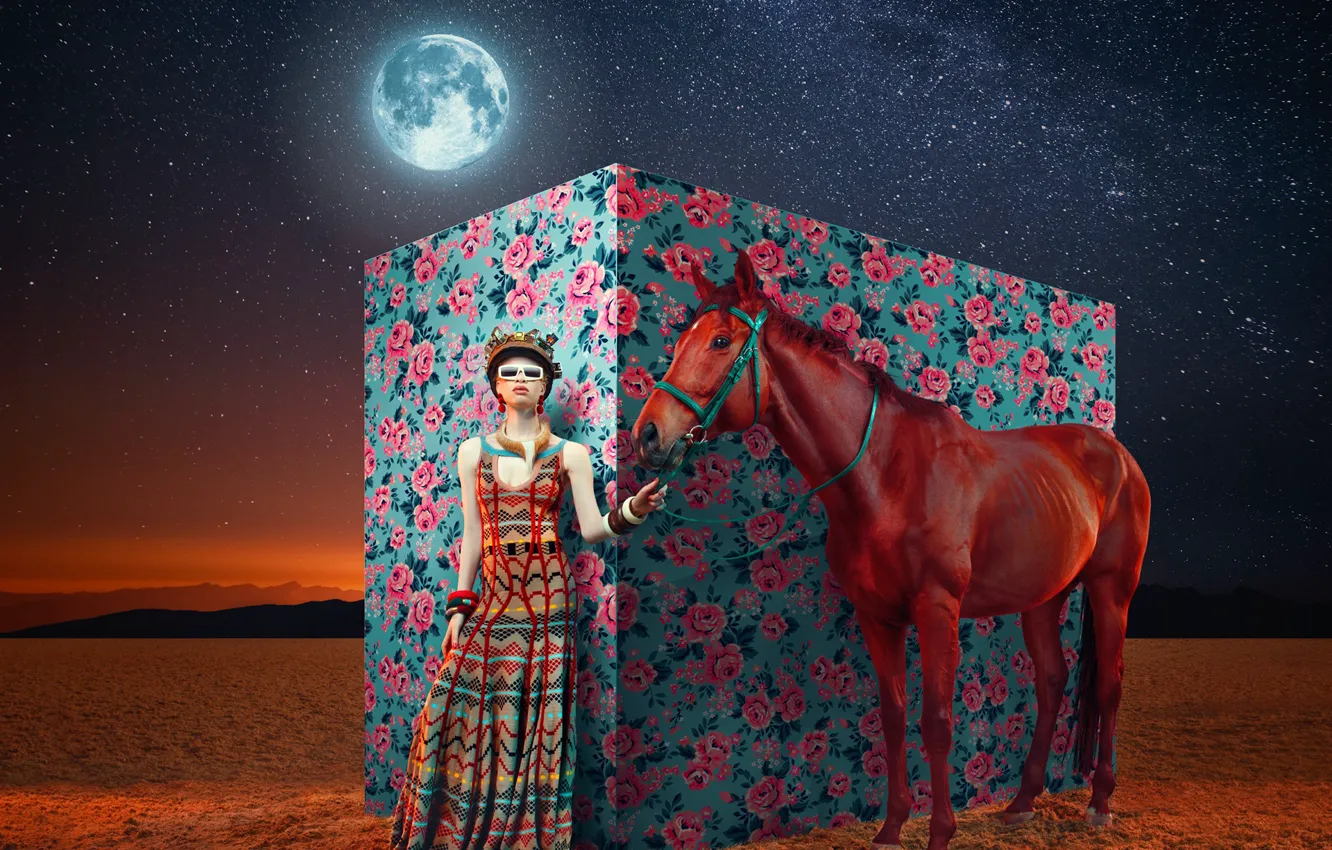 Photo wallpaper animal, the moon, woman, stars, DURBAN JULY
