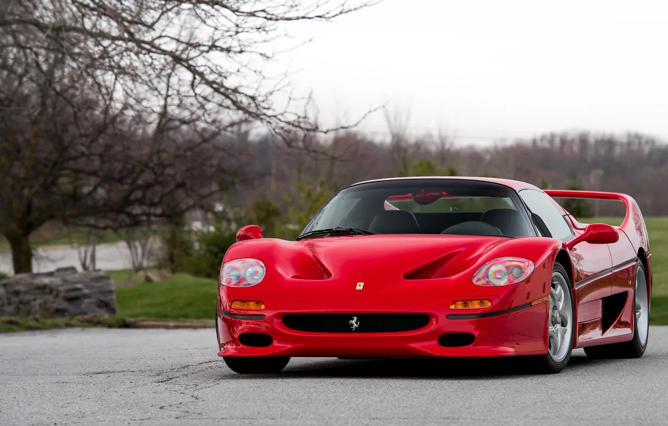 Photo wallpaper Ferrari, Red, F50