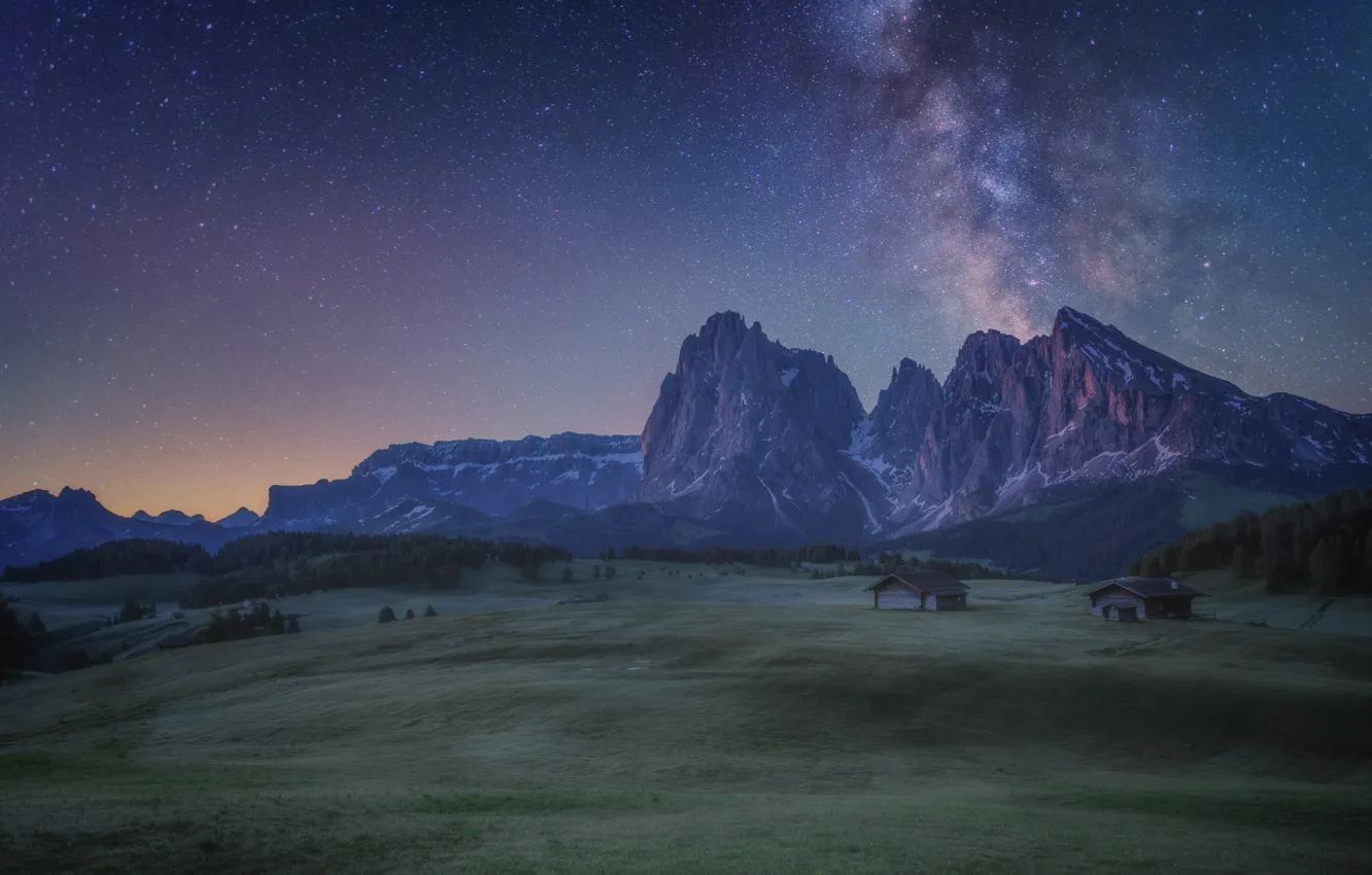 Photo wallpaper field, forest, the sky, stars, mountains, night, rocks, tops