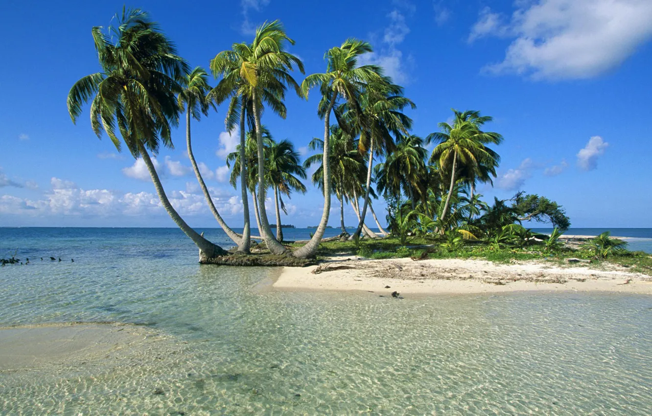 Photo wallpaper sea, the sky, palm trees, island
