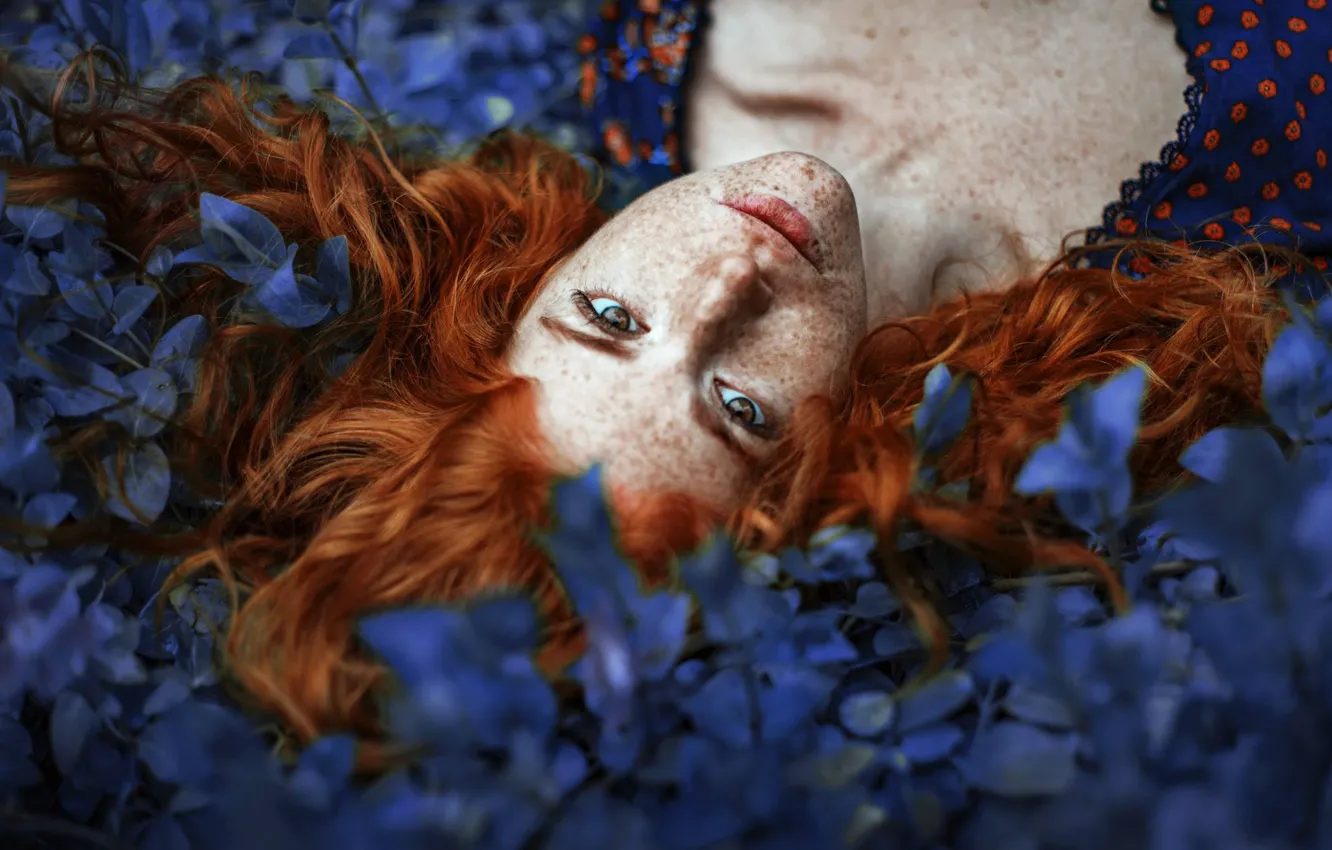 Photo wallpaper look, face, hair, petals, freckles, red, redhead, Ronny Garcia