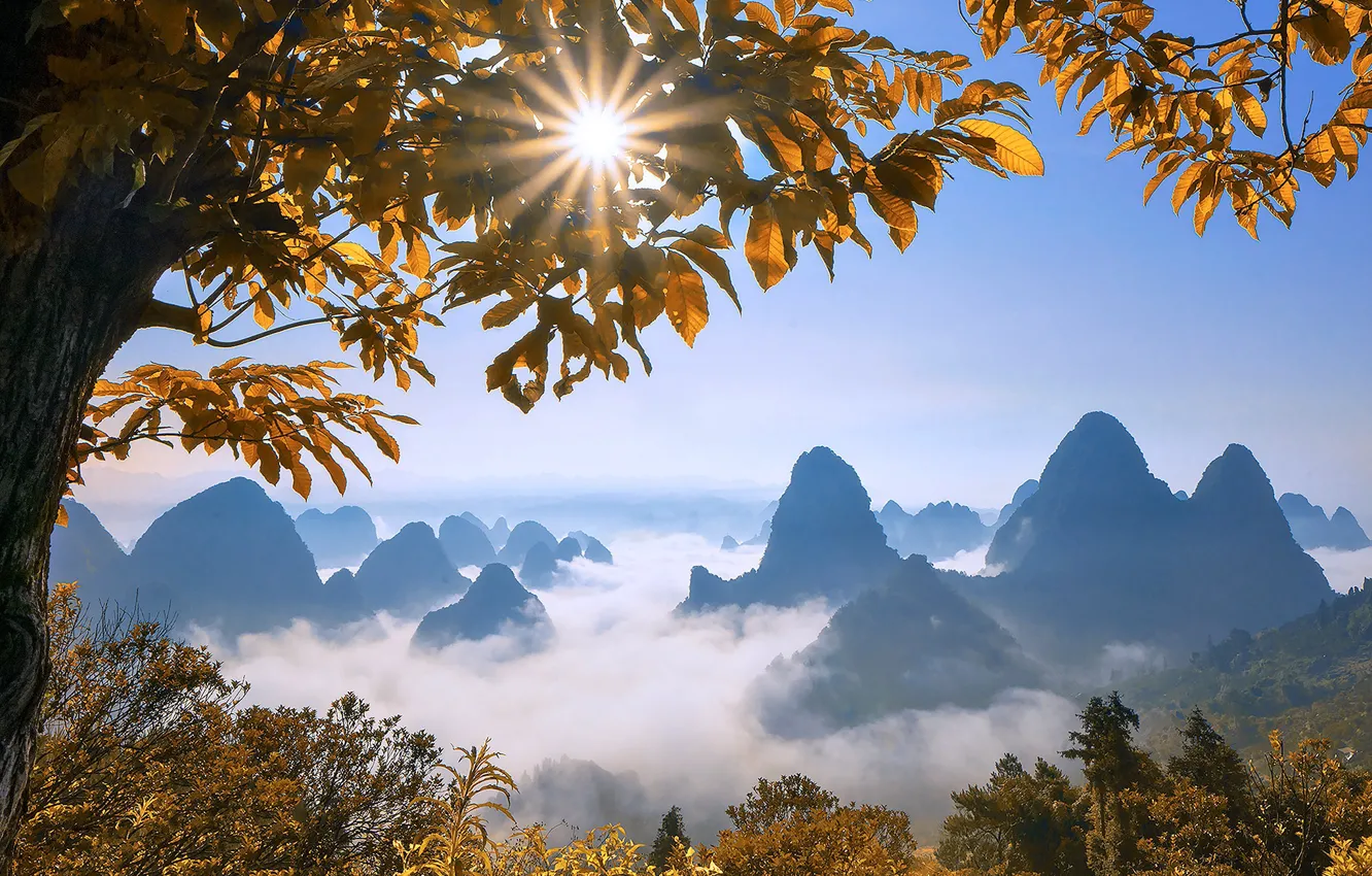 Photo wallpaper leaves, the sun, clouds, mountains, China, Guilin
