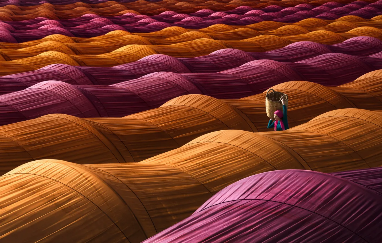 Photo wallpaper basket, paint, greenhouse, woman
