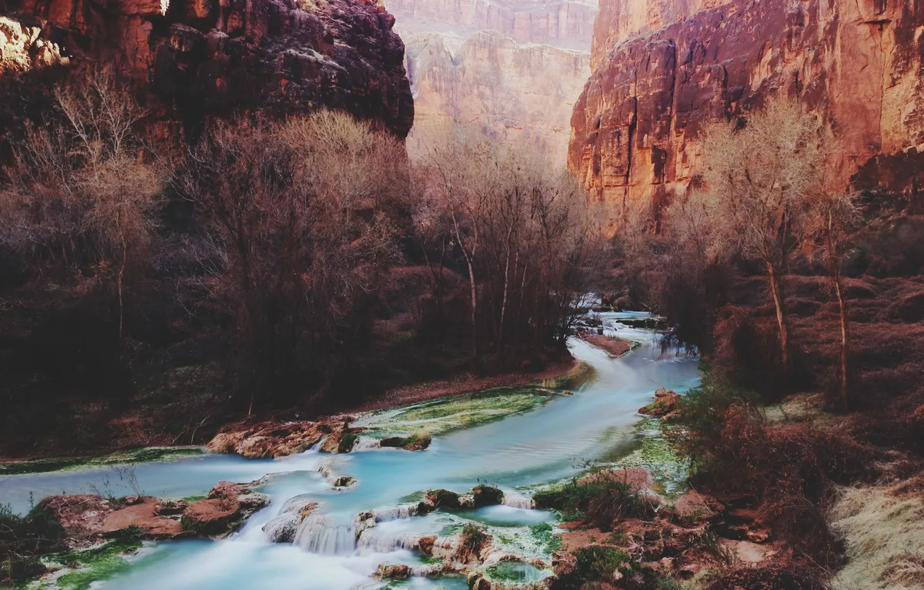 Photo wallpaper river, trees, canyon, sunlight, cliffs