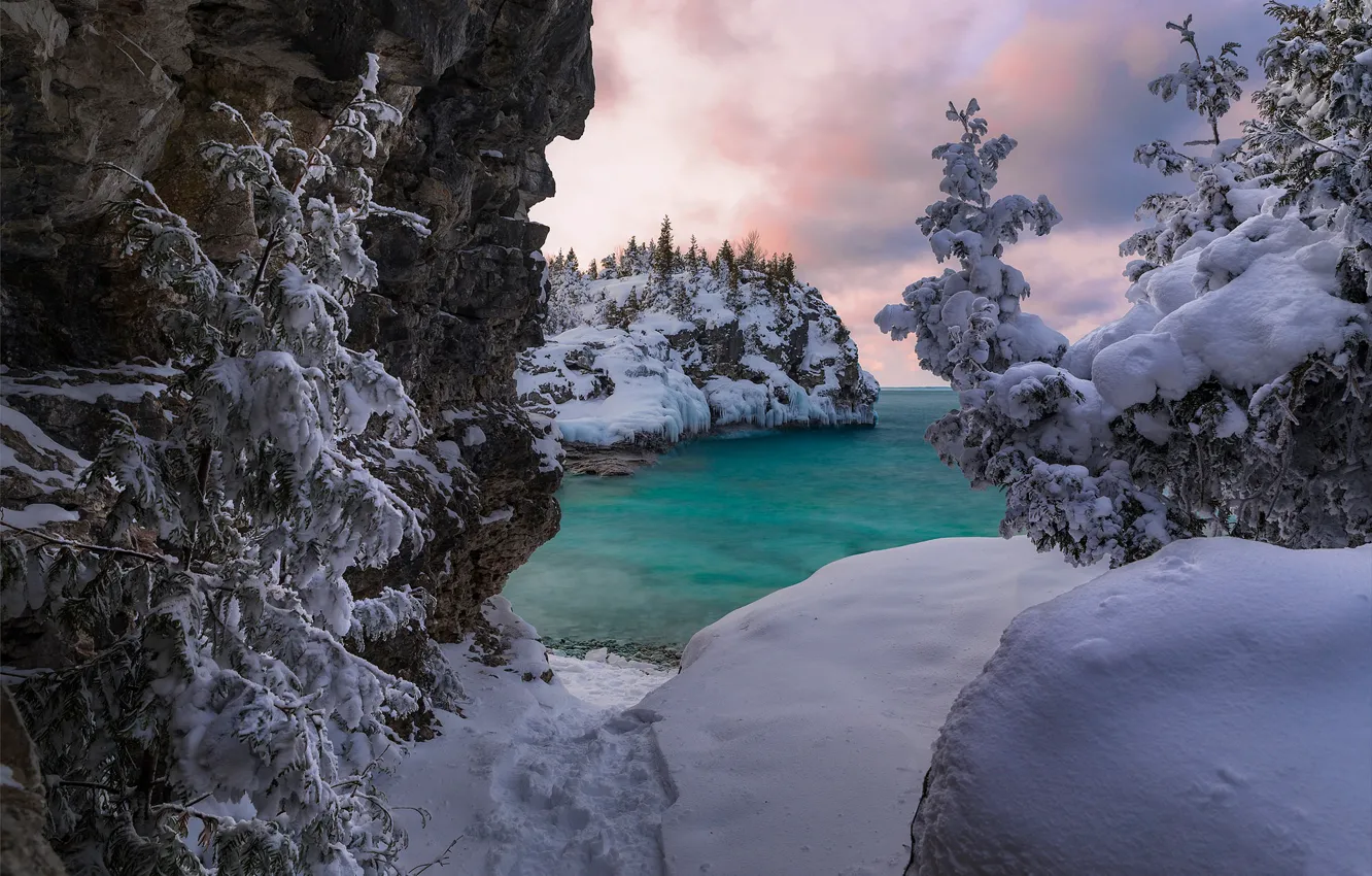 Photo wallpaper winter, snow, trees, lake, Canada, the snow, Ontario, Canada