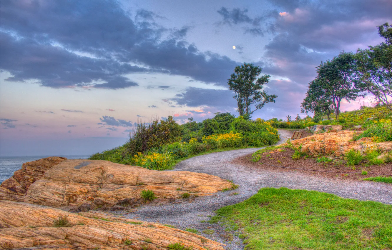 Photo wallpaper road, grass, trees, nature, rocks, HDR, Portland, USA