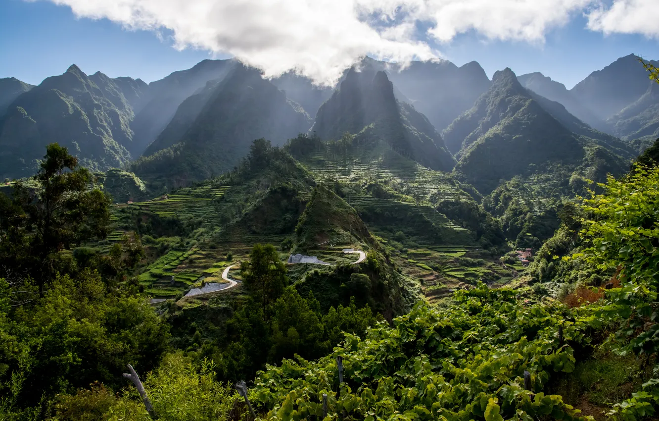 Photo wallpaper clouds, mountains, Madeira, vershigi