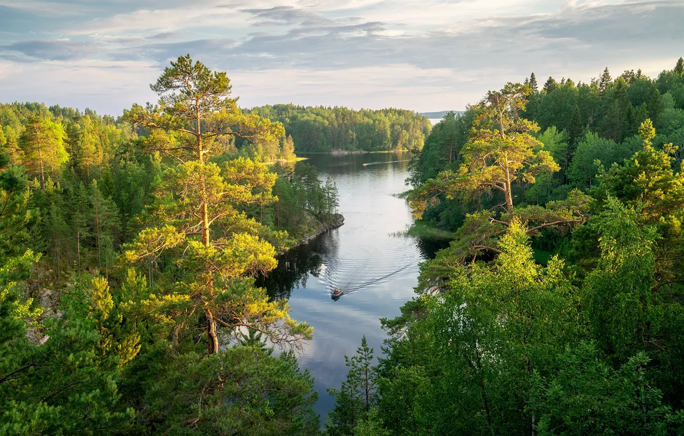 Photo wallpaper forest, landscape, nature, shore, boat, Lake Ladoga, Karelia, Ladoga