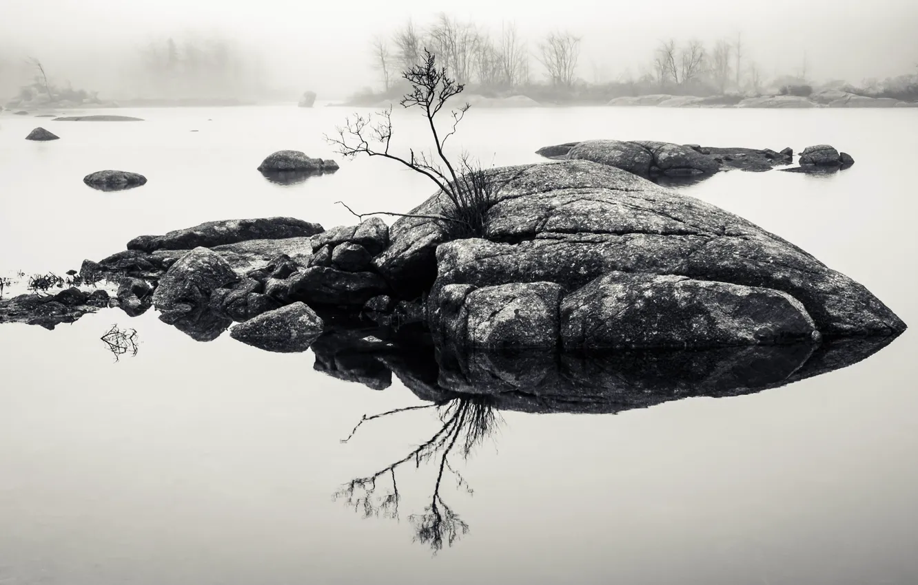 Photo wallpaper rock, water, lake, fog, reflection