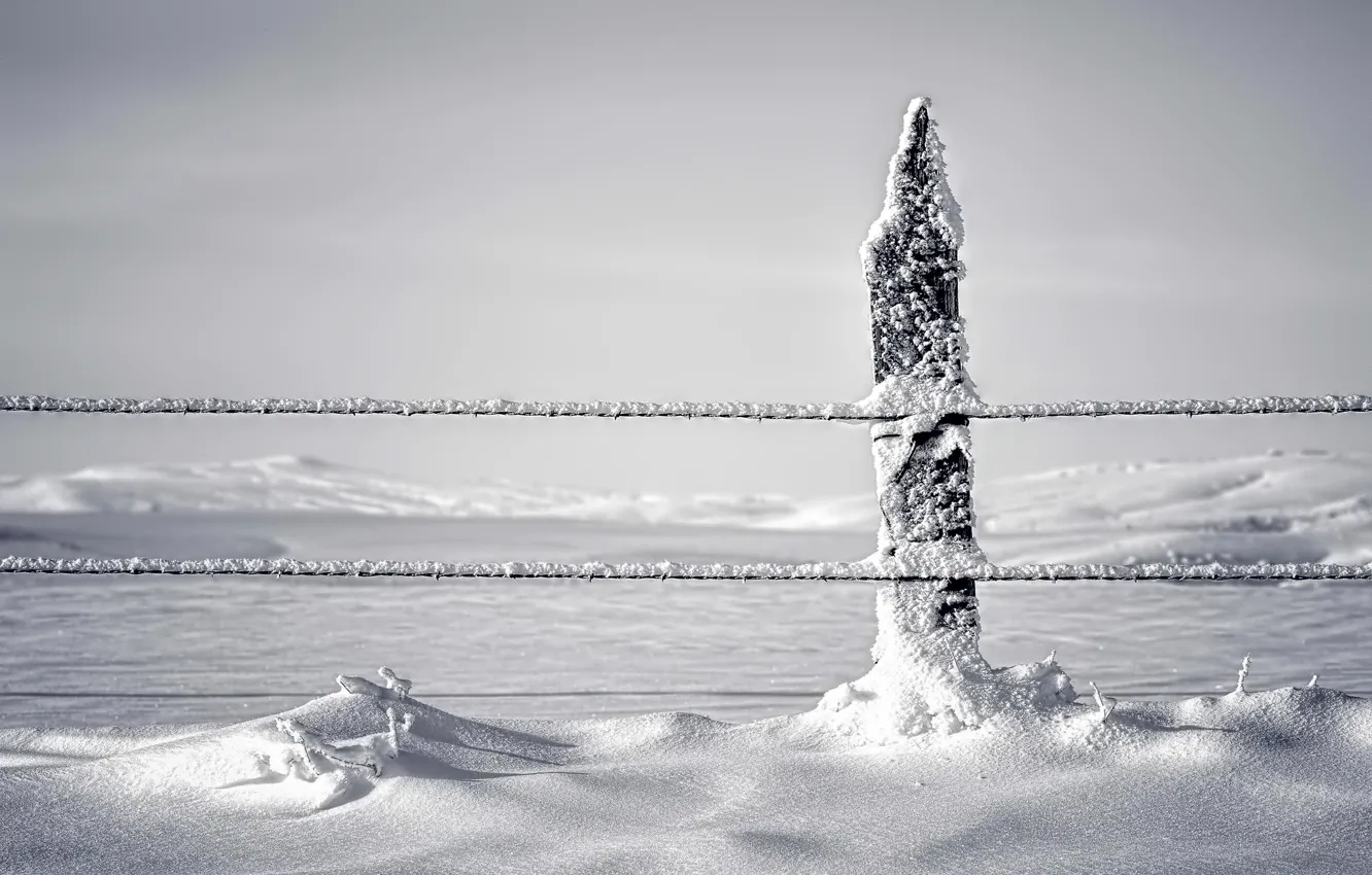Photo wallpaper snow, the fence, Winter, column