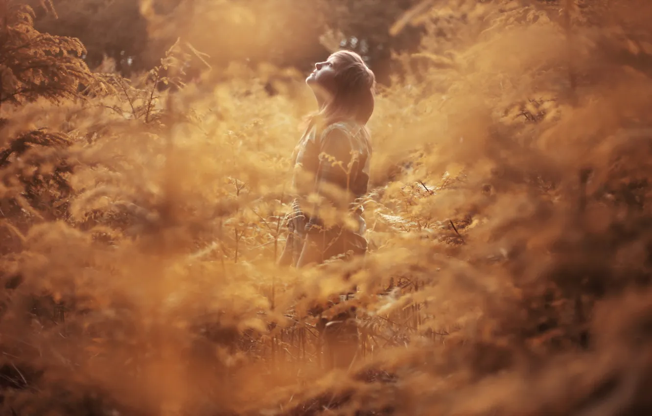 Photo wallpaper autumn, forest, girl, mood