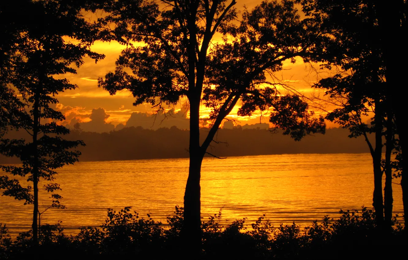 Photo wallpaper nature, river, shore, Golden Sunset