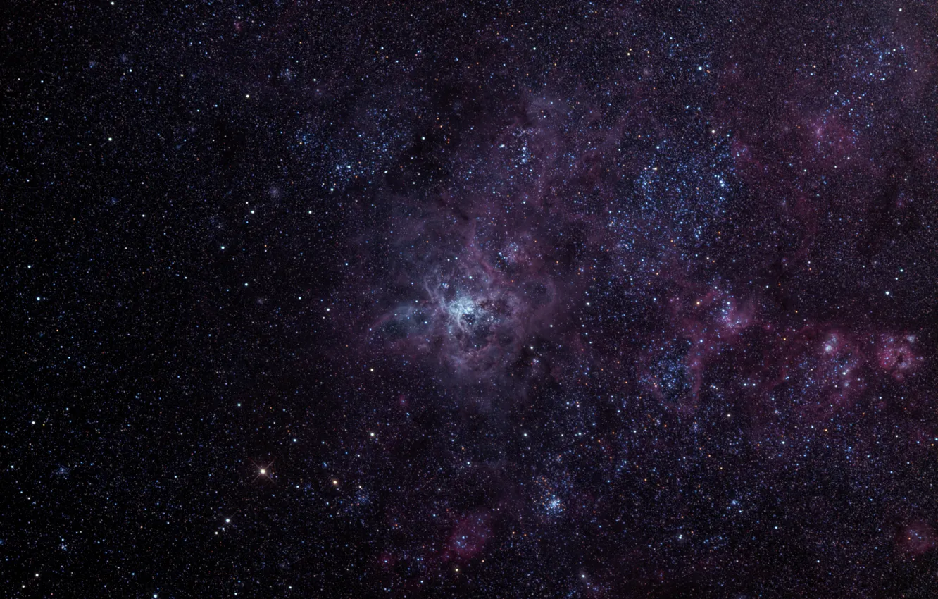 Photo wallpaper Gold Fish, emission nebula, Tarantula, in the constellation