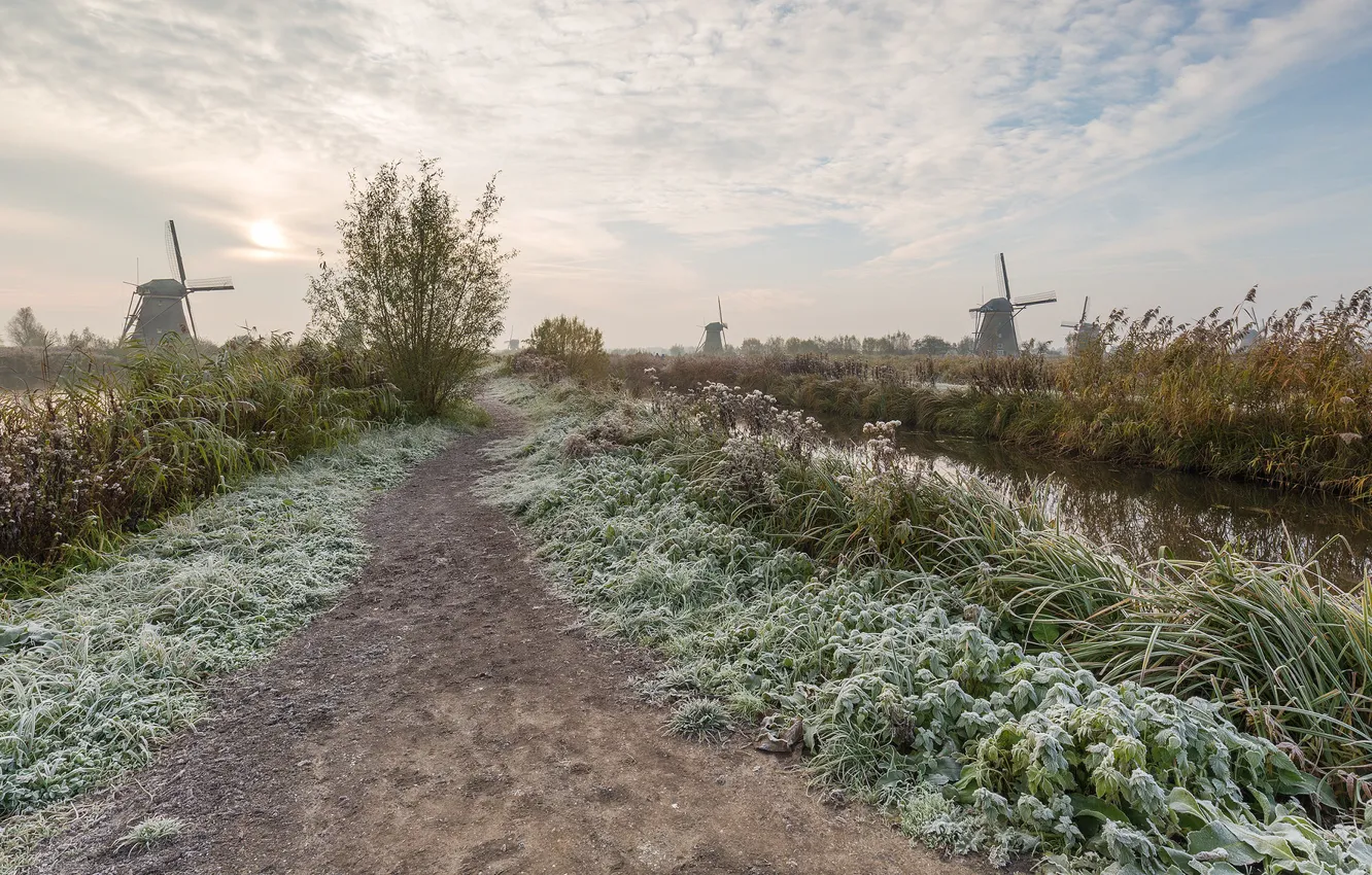 Photo wallpaper frost, mill, Netherlands, Kinderdijk, South Holland