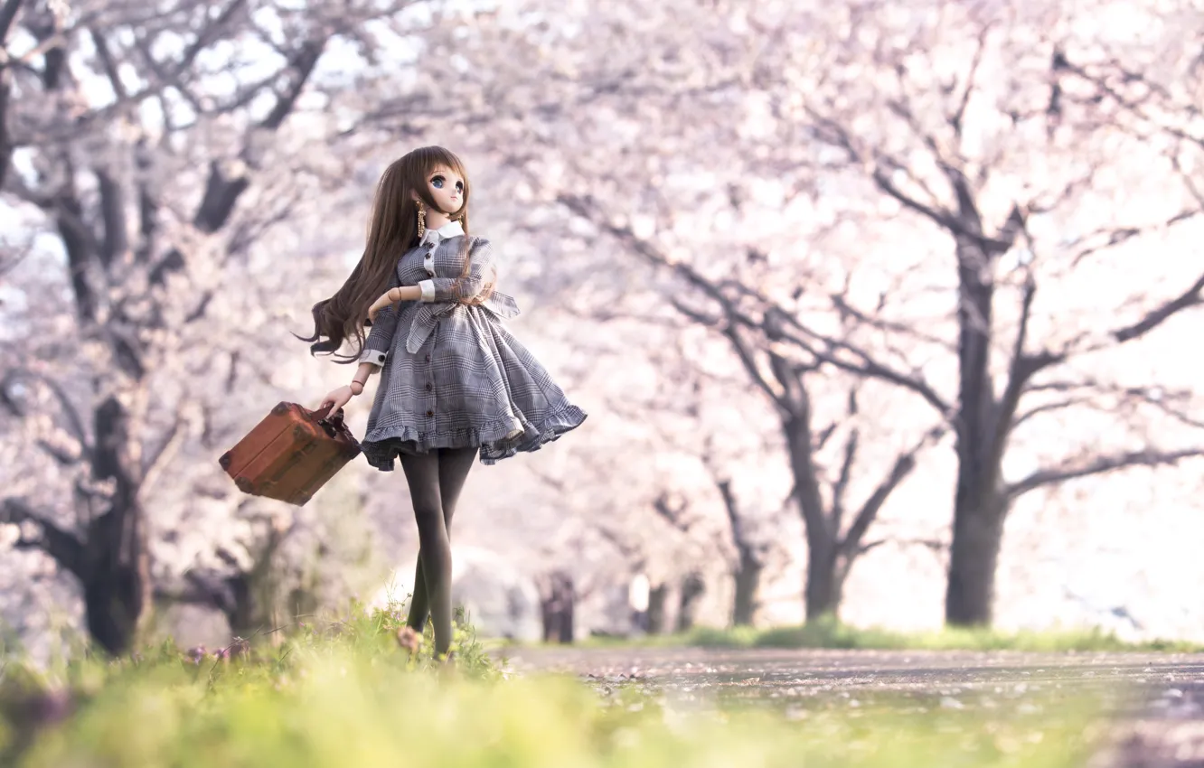 Photo wallpaper girl, toy, doll, Sakura, suitcase