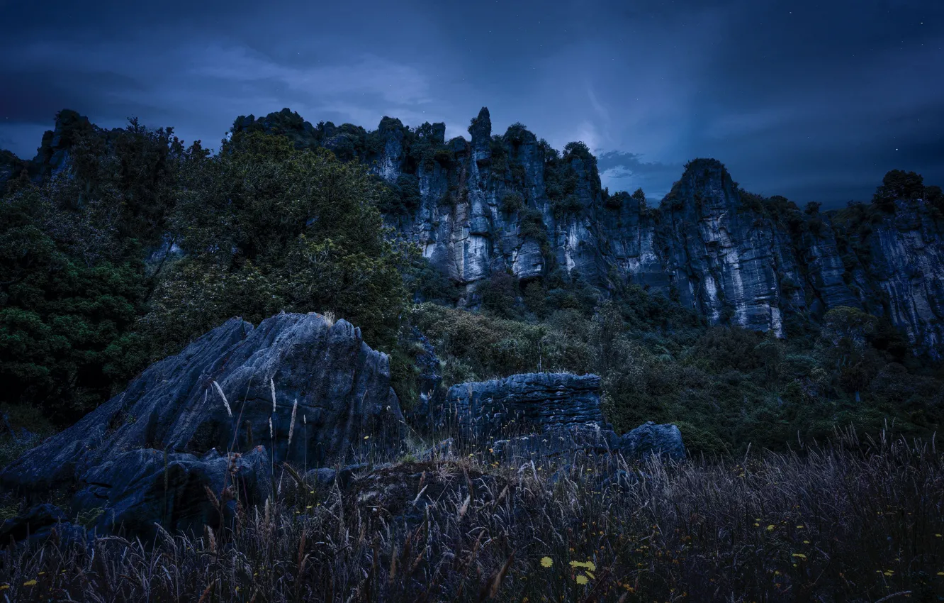 Photo wallpaper the sky, stars, clouds, trees, mountains, night, nature, stones