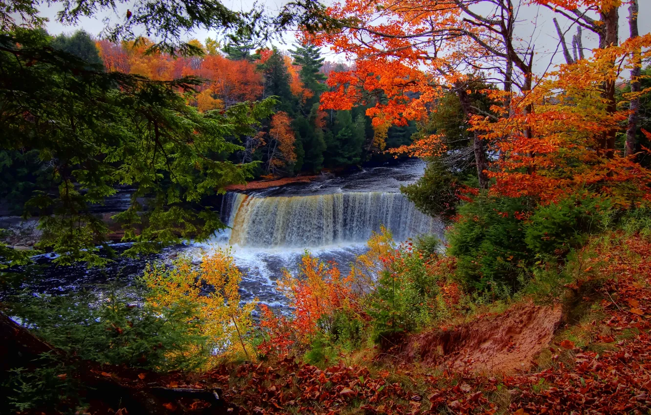 Photo wallpaper autumn, forest, leaves, trees, branches, river, waterfall, the bushes