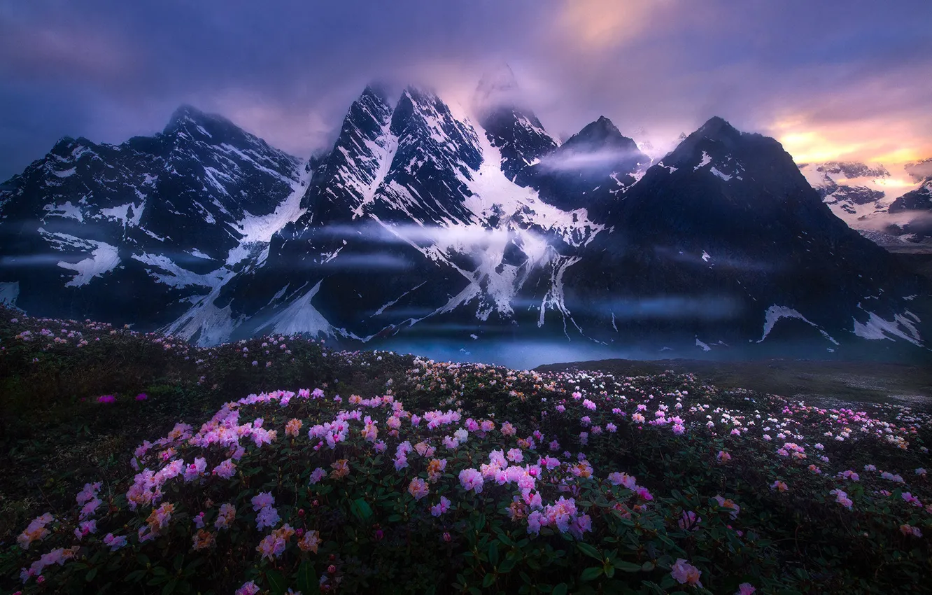 Photo wallpaper clouds, snow, landscape, flowers, mountains, nature, fog, lake