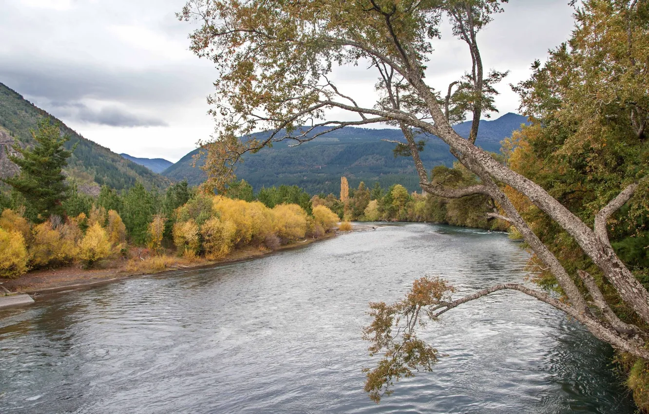 Photo wallpaper trees, landscape, nature, river, beauty