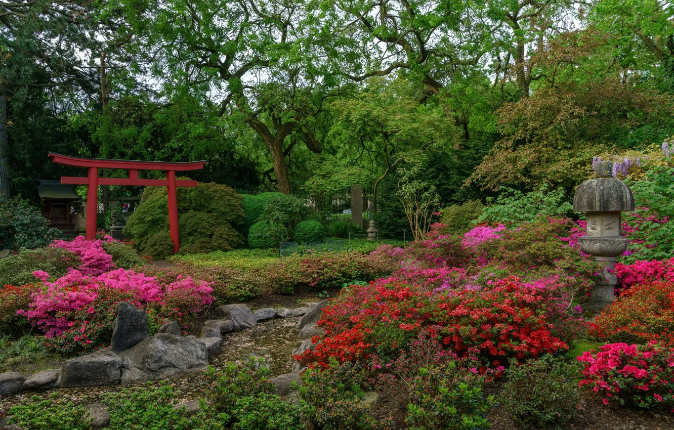 Photo wallpaper trees, flowers, nature, garden