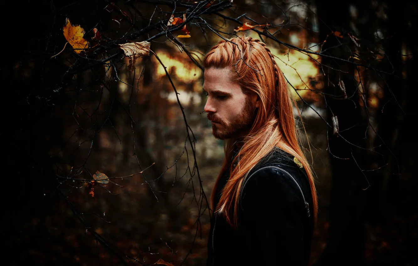 Photo wallpaper sadness, autumn, forest, mustache, look, trees, branches, nature