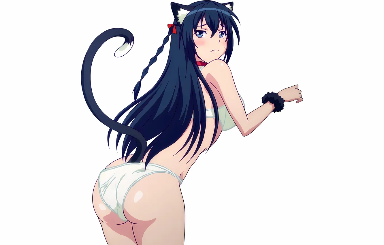 Photo wallpaper girl, sexy, lingerie, ass, bra, panties, long hair, animal ears